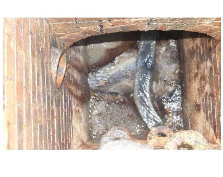 CCTV wastewater pipe inspection