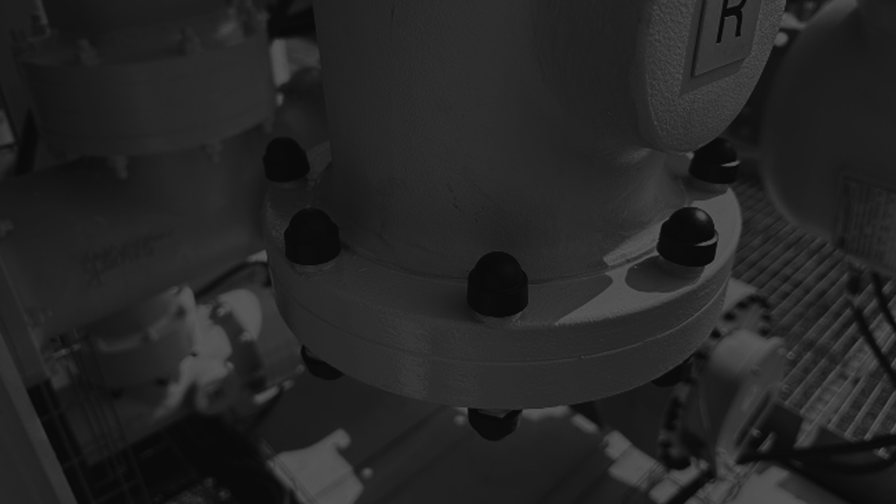 Fabric Maintenance and Protective Coating Remedials for a High Voltage Substation PASS Unit